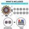 Hula Home Stained Glass Mandala Art Kit - DIY Window Clings with Markers, 10 Suncatchers - Perfect Hobby for Adults, Kids, Teens &#x26; Seniors - Ideal Gift for Beginners, Women &#x26; Elderly